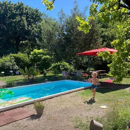 فيلة Summer House *
